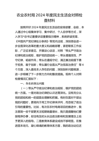 农业农村系统2024年度民主生活会个人对照检查4300字