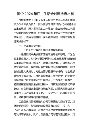 国企公司一把手2024年民主生活会个人对照检查4200字