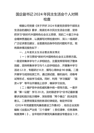 国企公司副书记2024年民主生活会对照检查4000字（含上年度整改情况）