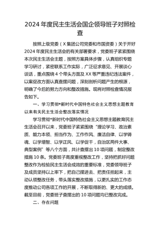 国企公司班子2024年度民主生活会对照检查5300字