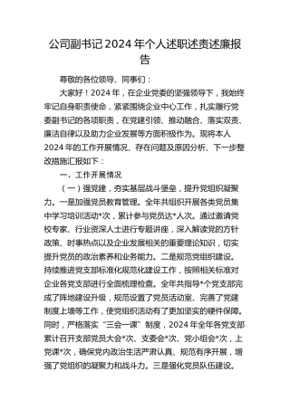 公司副书记2024年述职述责述廉报告4400字