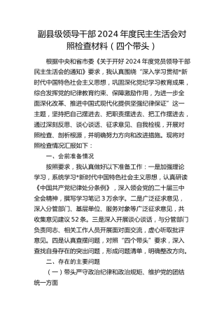 副县级领导2024年度民主生活会对照检查