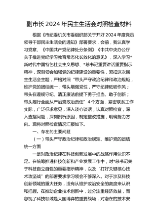 副市长2024年民主生活会对照检查5100字