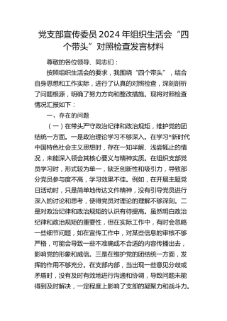 党支部宣传委员2024年组织生活会“四个带头”对照检查2400字