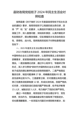 财政局班子2024年民主生活会对照检查5500字