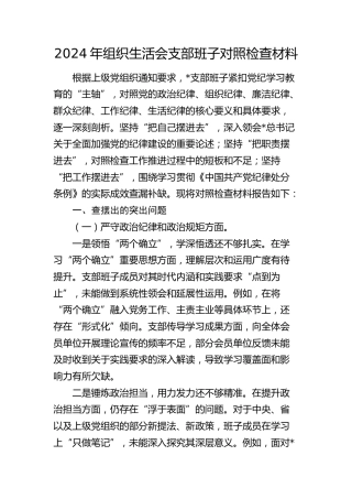 2024年组织生活会支部班子对照检查4900字