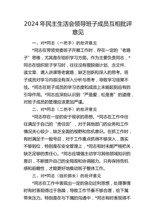 2024年民主生活会领导班子成员互相批评意见(1)