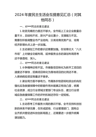 2024年度民主生活会互提意见汇总