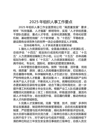 2025年组织人事工作要点（公司4600字）