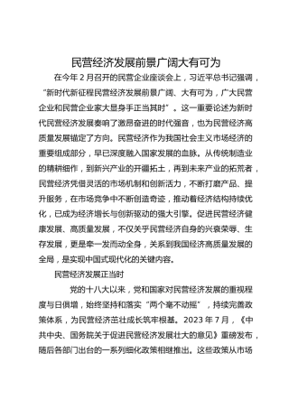 民营经济发展前景广阔大有可为_1