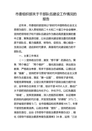 市委组织部干部队伍建设工作总结报告