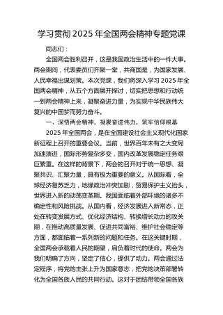2025年全国两会精神专题党课