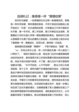 选调札记：像香榧一样“慢慢结果”
