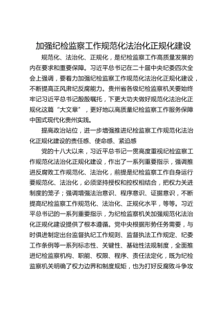 研讨发言：加强纪检监察工作规范化法治化正规化建设
