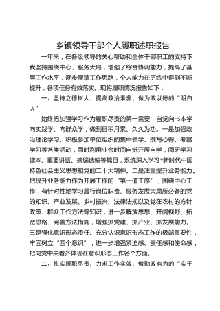 乡镇领导干部个人履职报告