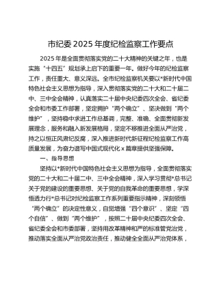 市纪委2025年度纪检监察工作要点3300字