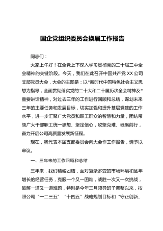 04-1-1 国企党组织委员会换届三年工作报告（2篇）