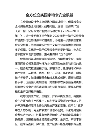 全方位夯实国家粮食安全根基