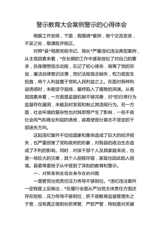 警示教育大会案例警示心得体会发言2