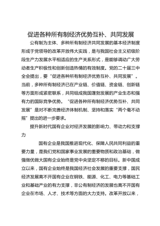 促进各种所有制经济优势互补、共同发展