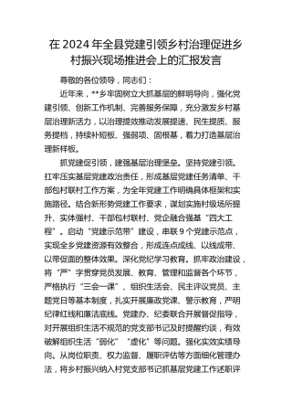 在全县党建引领乡村治理促进乡村振兴现场推进会上的汇报发言