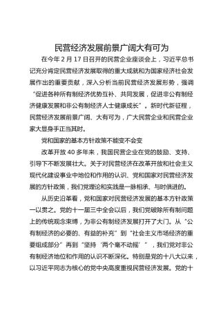 民营经济发展前景广阔大有可为