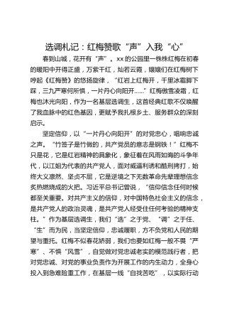 选调札记：红梅赞歌 “声”入我“心”