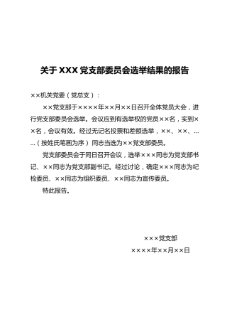 06-1 关于党支部委员会选举结果的报告