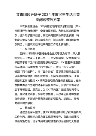共青团2024年度民主生活会查摆问题整改方案