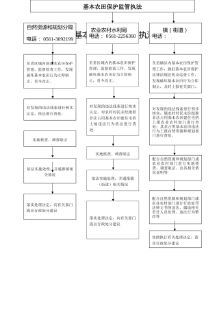 10.自然资源规划分局--基本农田保护监管执法