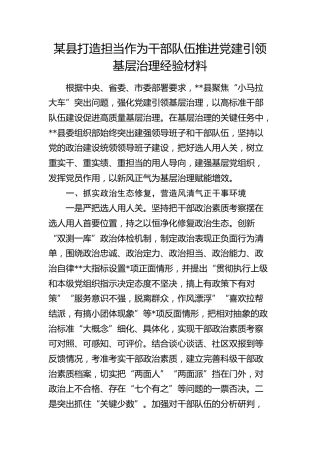 县打造担当作为干部队伍推进党建引领基层治理经验总结