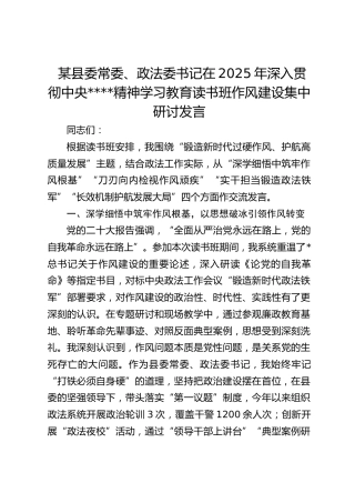县委常委、政法委书记在2025年深入贯彻作风建设精神学习教育读书班作风建设集中研讨发言