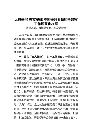 提升乡镇纪检监察工作规范化水平工作经验（纪委监委）