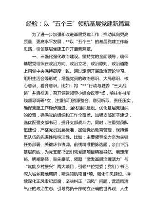 经验交流：以“五个三”领航基层党建新篇章