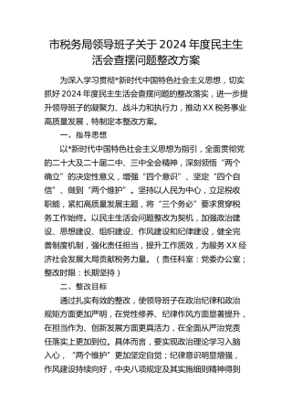 市税务系统2024年度民主生活会查摆问题整改方案
