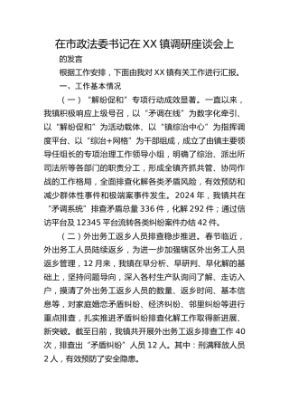 在市政法委书记调研座谈会上的发言