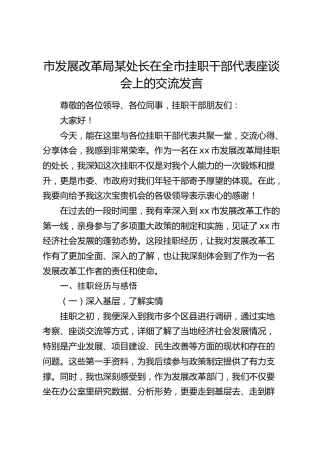 在全市挂职干部代表座谈会上的交流发言（发改）
