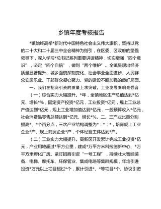 乡镇年度考核报告