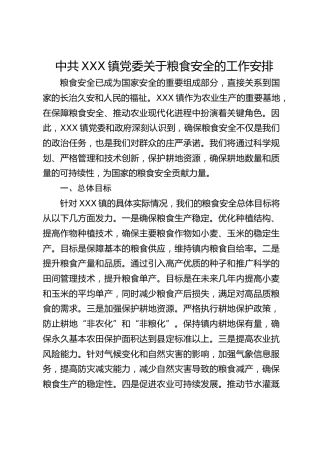 乡镇党委关于粮食安全的工作安排