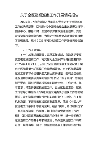 全区巡视巡察工作开展情况总结报告（巡察组）