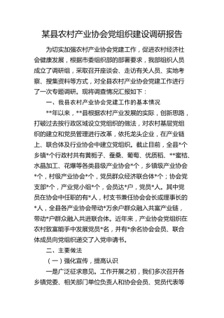 县农村产业协会党组织建设调研报告