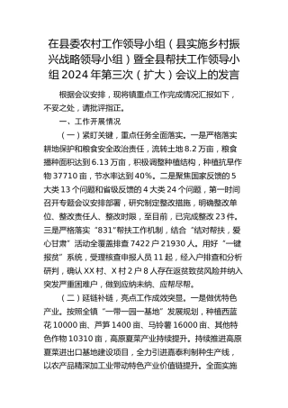 在县委农村工作领导小组（县实施乡村振兴战略领导小组）暨全县帮扶工作领导小组第三次（扩大）会议上的发言