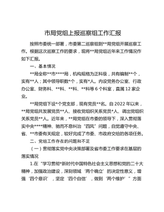 市局党组上报巡察组工作汇报（近年工作自查总结）