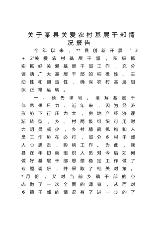 县区关爱农村基层干部情况报告