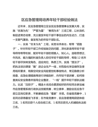 区应急管理局培养年轻干部经验做法总结