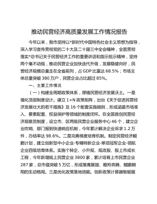 市推动民营经济高质量发展工作情况报告