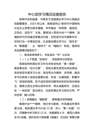 中心组学习情况自查总结报告3100字