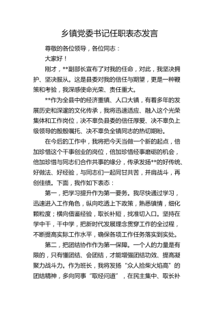 乡镇党委书记任职表态发言 (2)