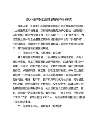 县区就业服务体系建设经验总结