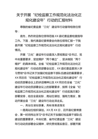 开展“纪检监察工作规范化法治化正规化建设年”行动汇报（纪委监委）